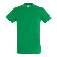 T-SHIRT M/MANGA REGENT VERDE PRADOS 
